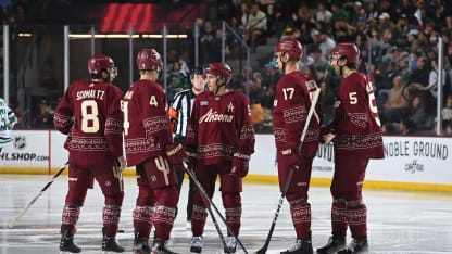 Arizona Coyotes nepostoupí do play off