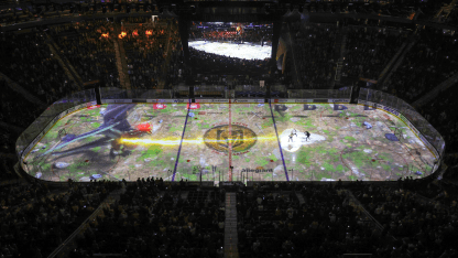 VGK_ice_projection